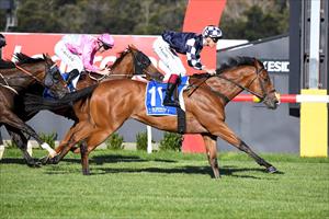 UNBEATEN HOMEBRED CONTINUES TO IMPRESS